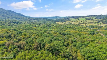 0 Highway 131 West, Treadway, TN 37881
