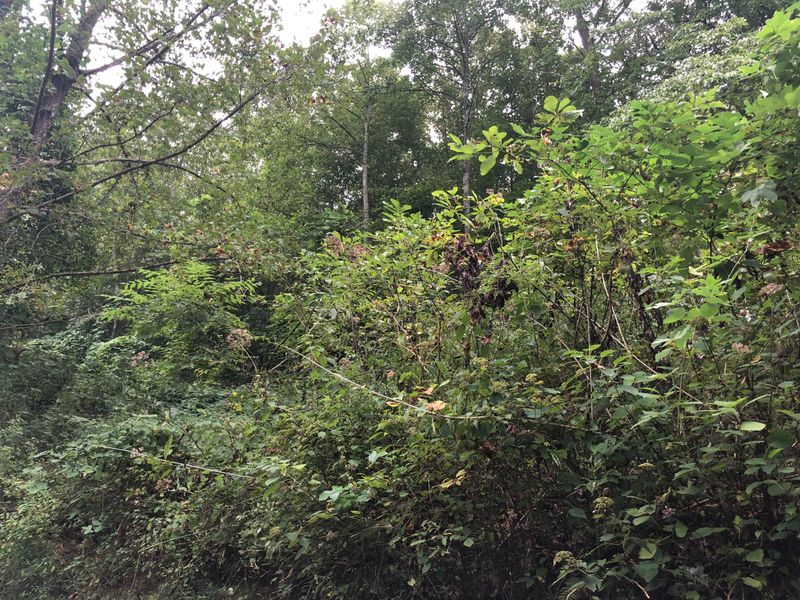 0 Highway 25w S, Lafollette, TN 37766