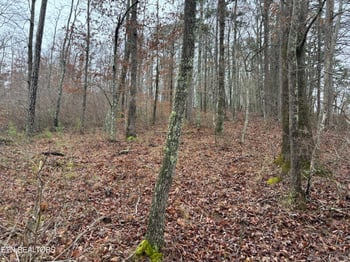 0 Highway 27, Sunbright, TN 37872
