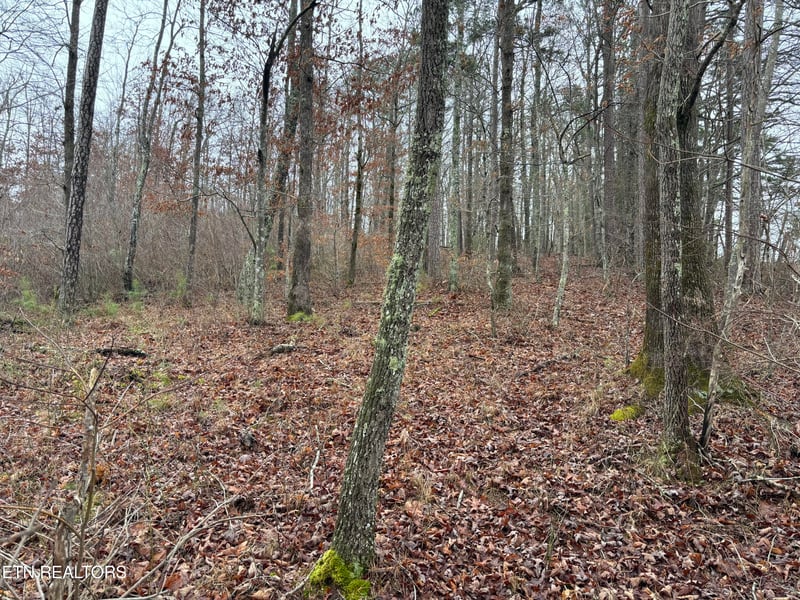 0 Highway 27, Sunbright, TN 37872