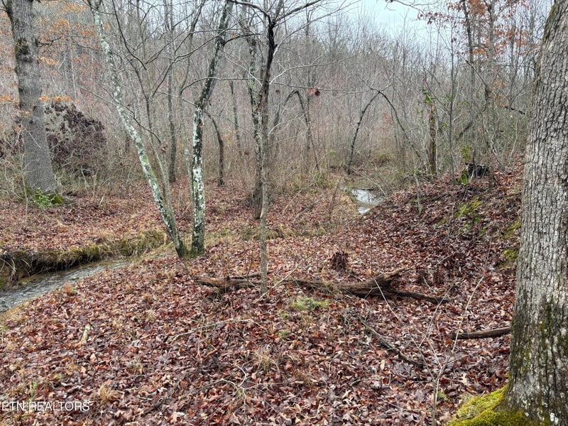 0 Highway 27, Sunbright, TN 37872