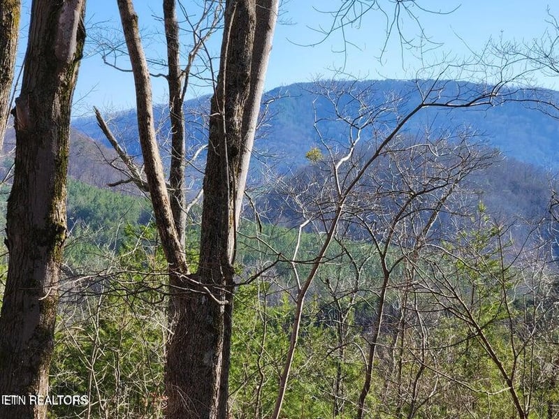 0 Highway 39e, Englewood, TN 37329