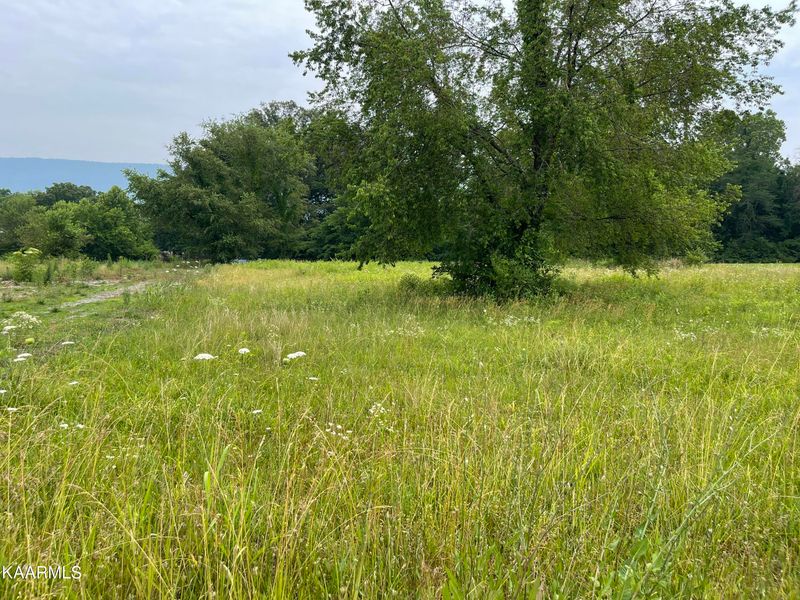 0 Highway 411, Etowah, TN 37331