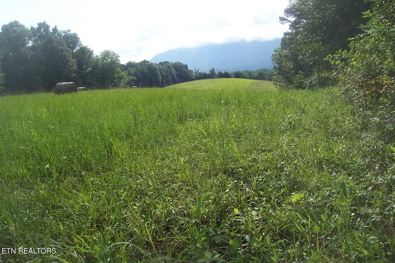 0 Highway 411, Sevierville, TN 37876