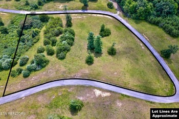 0 Highway 62, Deer Lodge, TN 37726