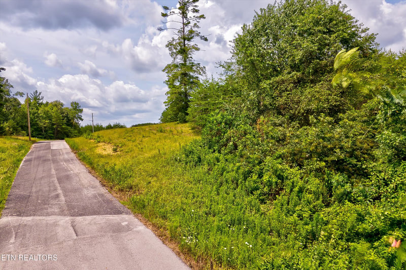 0 Highway 62, Deer Lodge, TN 37726