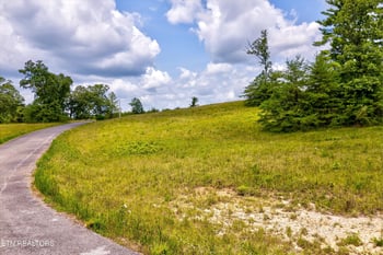 0 Highway 62, Deer Lodge, TN 37726