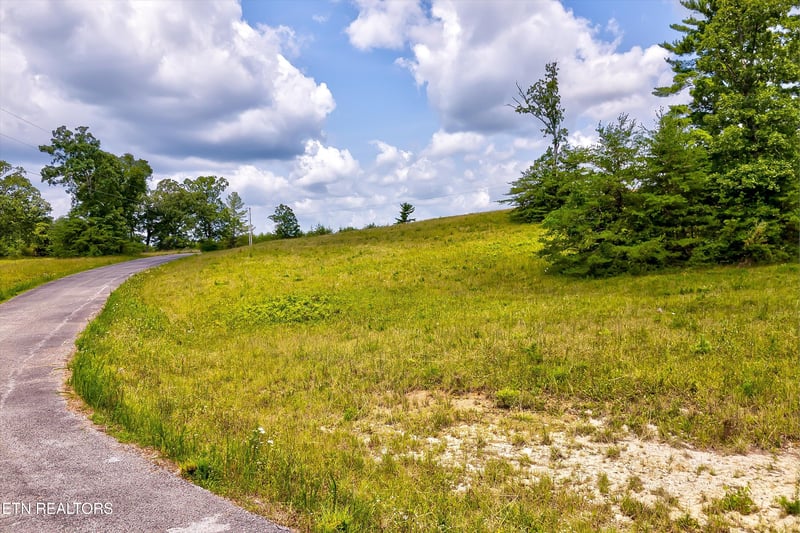 0 Highway 62, Deer Lodge, TN 37726