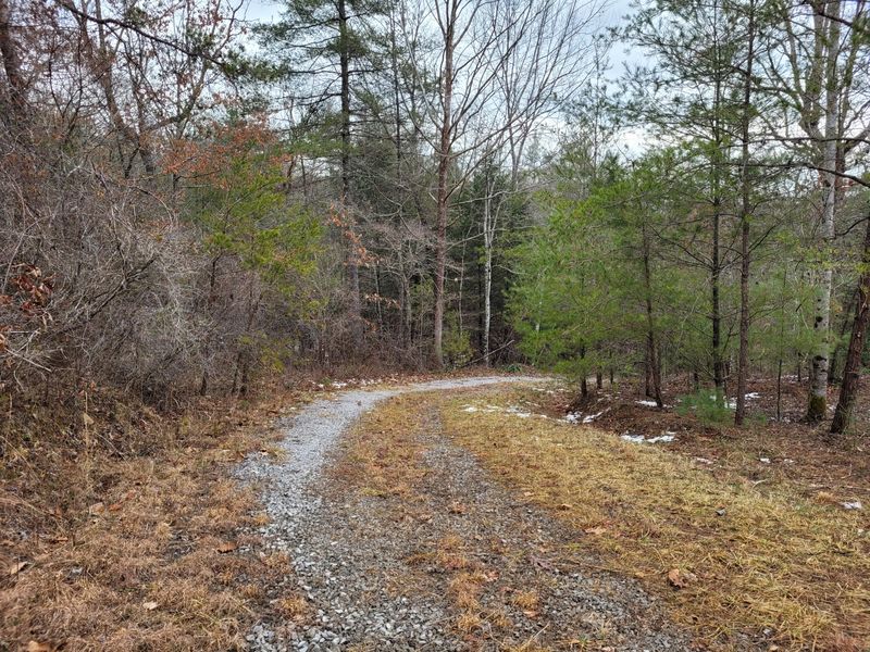 0 Highway 62 Tn, Deer Lodge, TN 37726