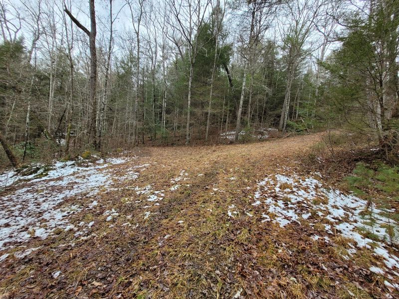 0 Highway 62 Tn, Deer Lodge, TN 37726