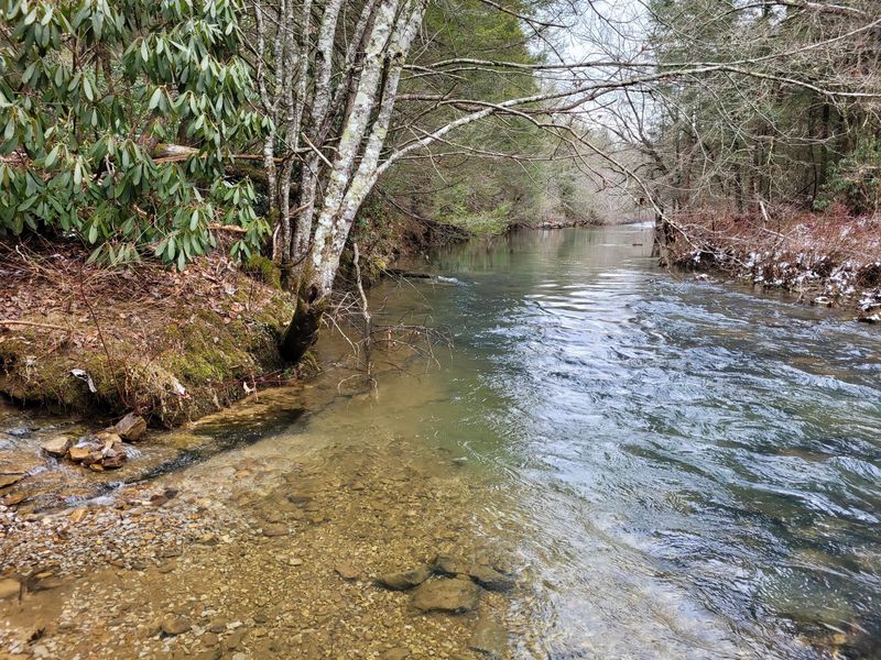 0 Highway 62 Tn, Deer Lodge, TN 37726