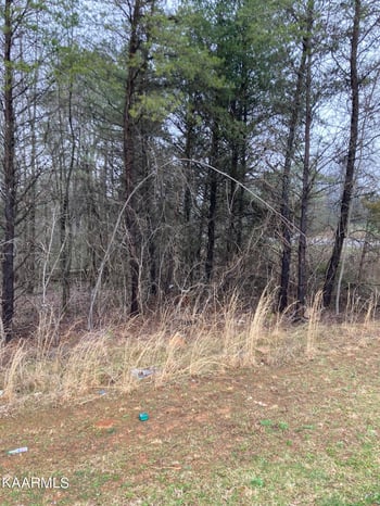 0 Highway 68, Madisonville, TN 37354