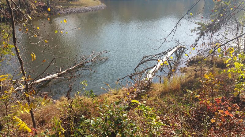 0 Highway 95, Greenback, TN 37742