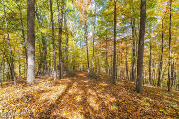 0 Hill Rd, Knoxville, TN 37938