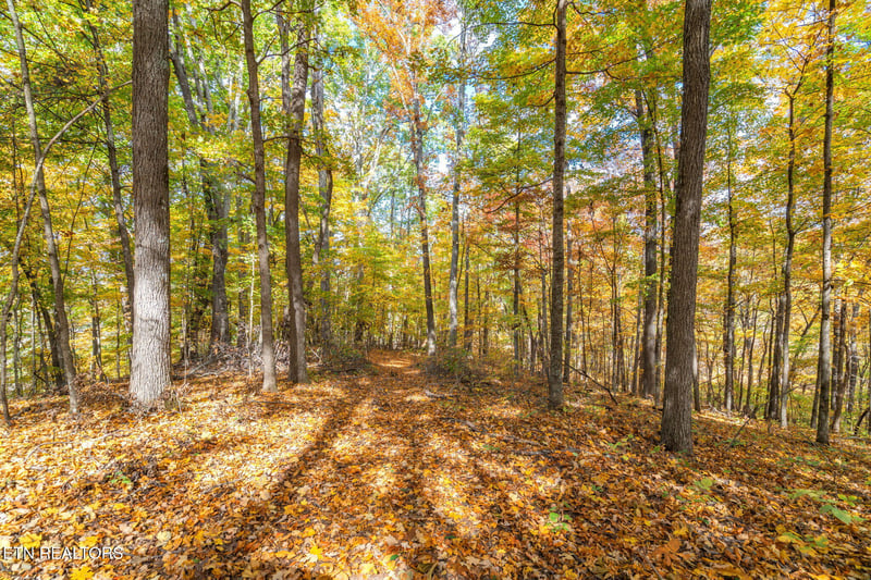 0 Hill Rd, Knoxville, TN 37938
