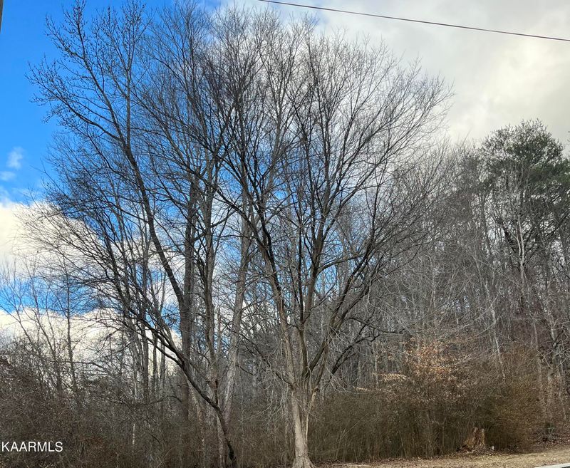 0 Hill St, Jellico, TN 37762