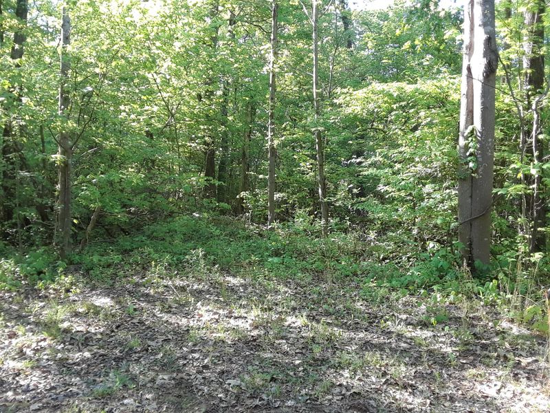 0 Hillard Ln, Strawberry Plains, TN 37871
