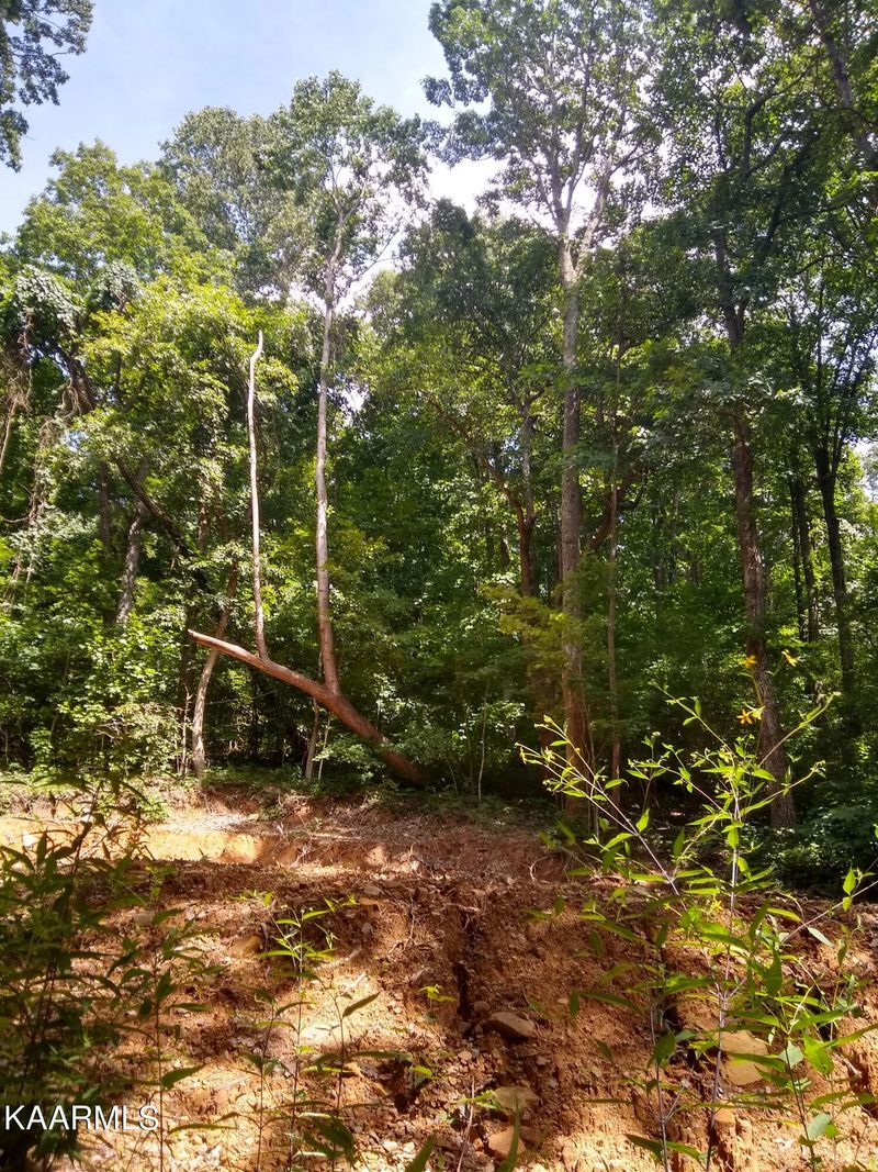 0 Hinch Mountain Rd, Crossville, TN 38555