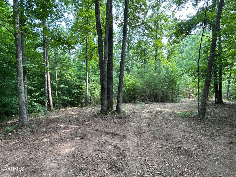 0 Hinds Creek Rd, Heiskell, TN 37754
