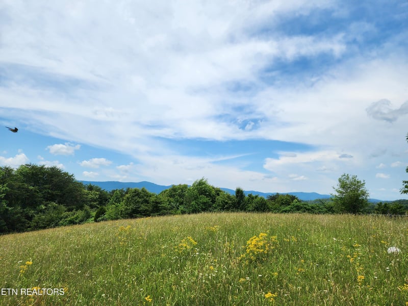 0 Hiwassee Dr, Jacksboro, TN 37757