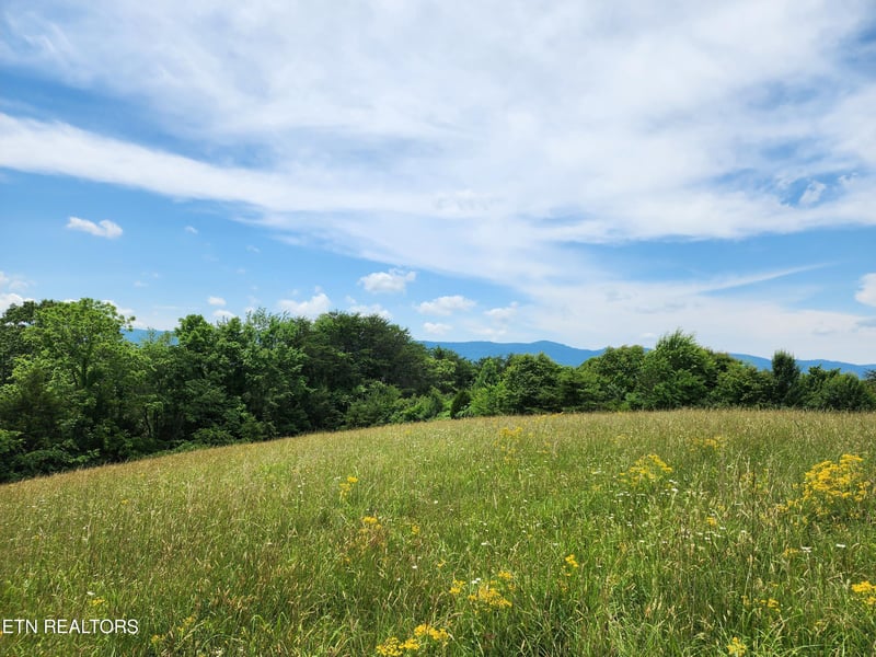 0 Hiwassee Dr, Jacksboro, TN 37757