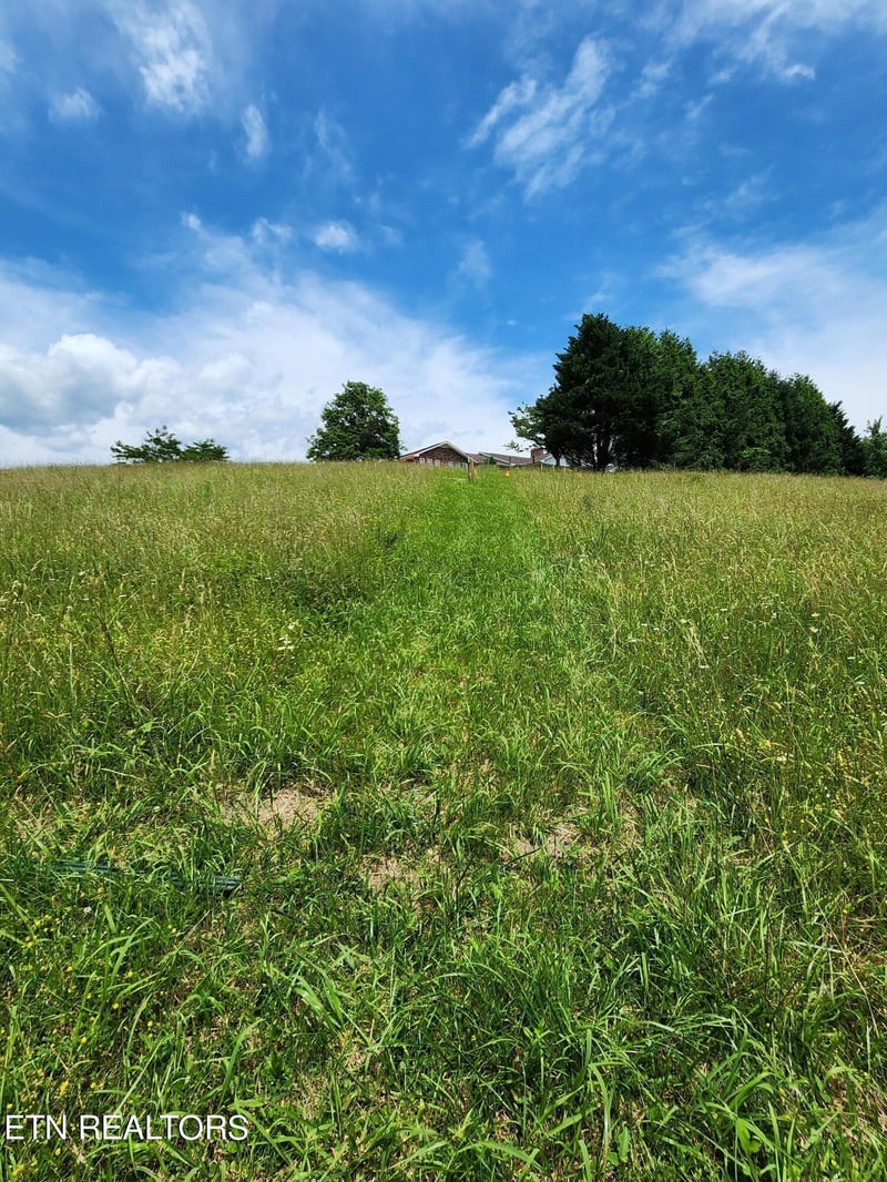 0 Hiwassee Dr, Jacksboro, TN 37757