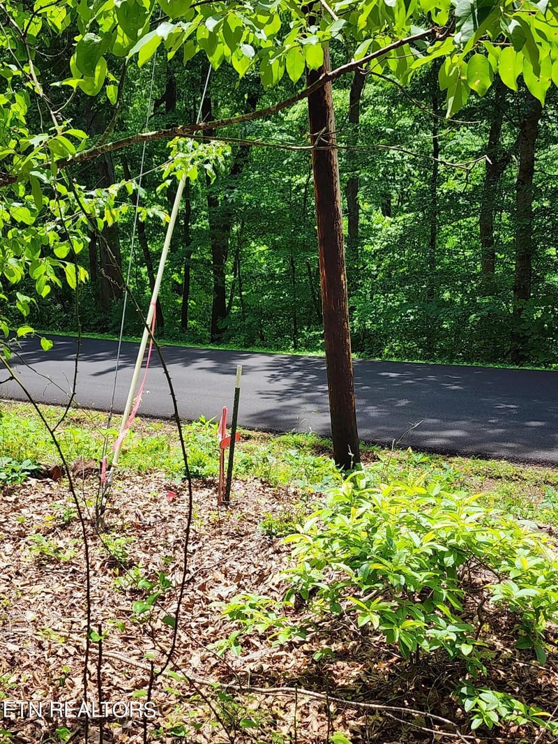 0 Hiwassee Dr, Jacksboro, TN 37757