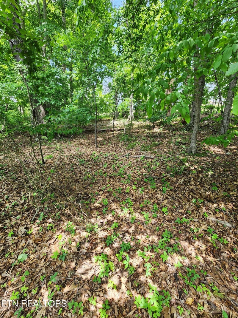 0 Hiwassee Dr, Jacksboro, TN 37757