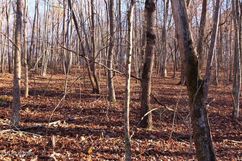 0 Hiwassee View Lot 106+107 Dr, Jacksboro, TN 37757