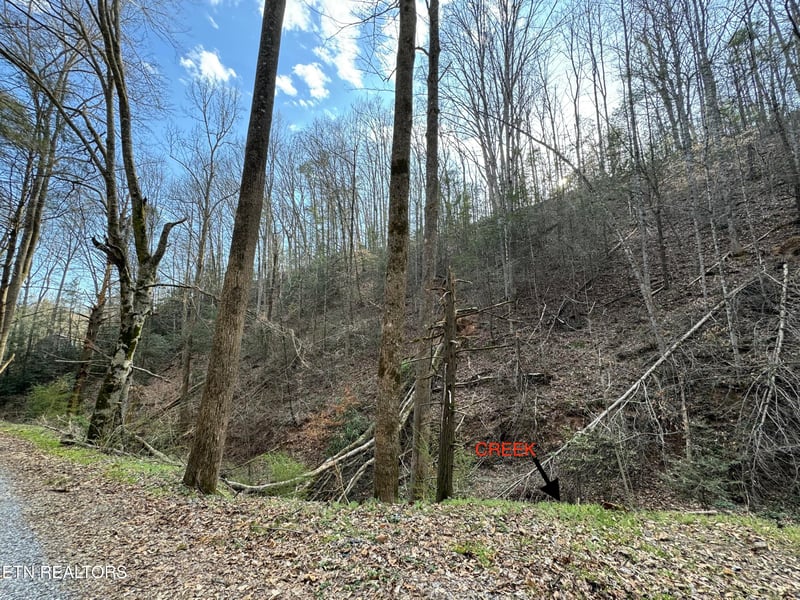 0 Hobe Maples Way, Sevierville, TN 37876