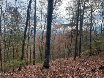 0 Hobe Maples Way, Sevierville, TN 37876
