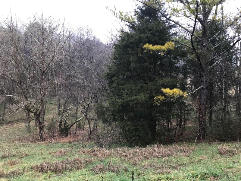 0 Hodges Ferry Rd, Kodak, TN 37764