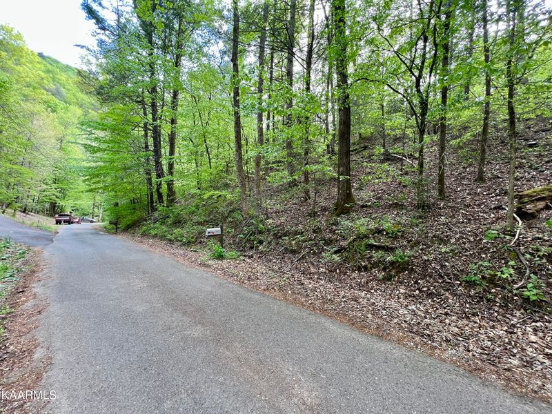 0 Holly Ln, Sevierville, TN 37862