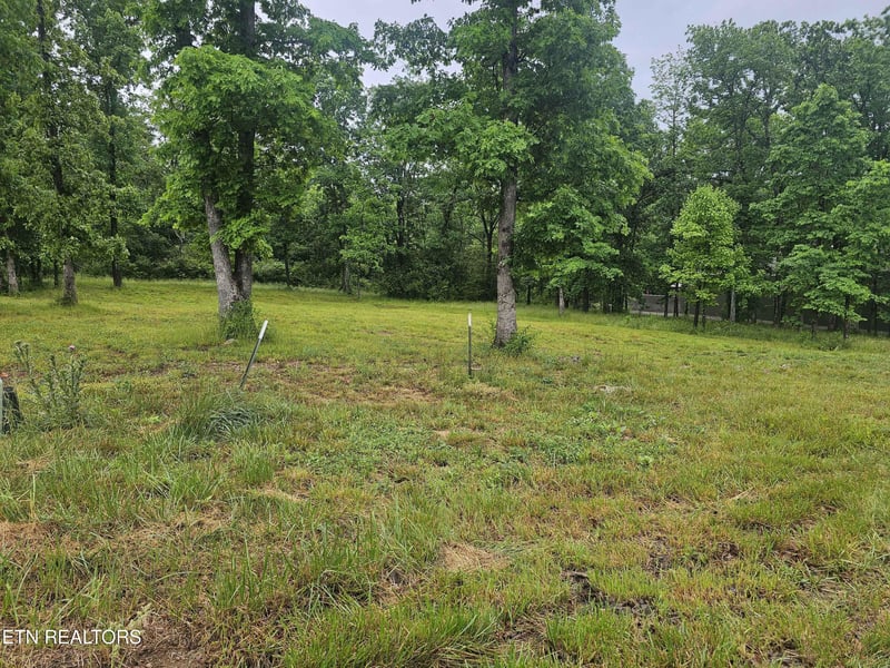 0 Holly Tree Dr, Crossville, TN 38555