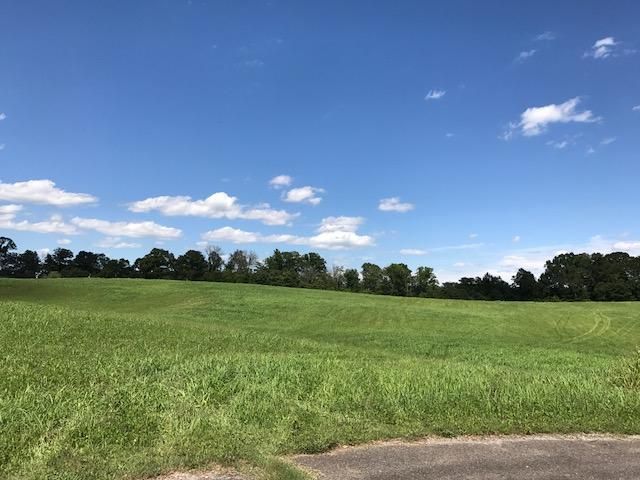 0 Holston Acres Dr, Rutledge, TN 37861