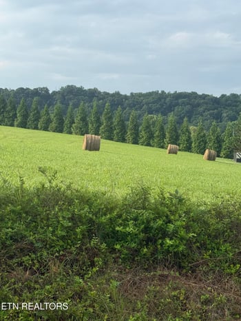 0 Holston Acres, Rutledge, TN 37861