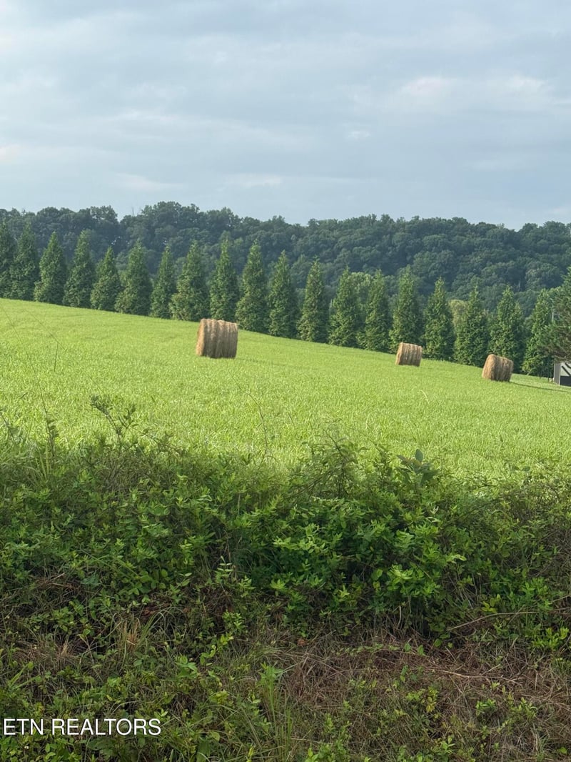 0 Holston Acres, Rutledge, TN 37861
