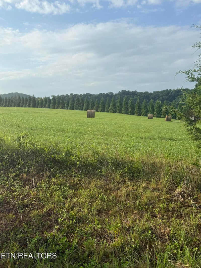 0 Holston Acres, Rutledge, TN 37861