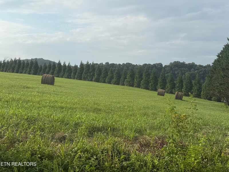 0 Holston Acres, Rutledge, TN 37861