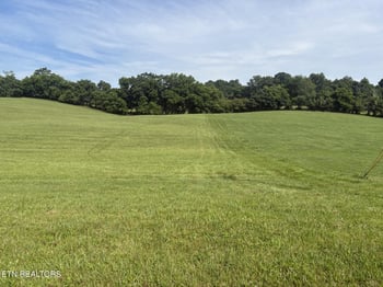 0 Holston River Dr, Rutledge, TN 37861