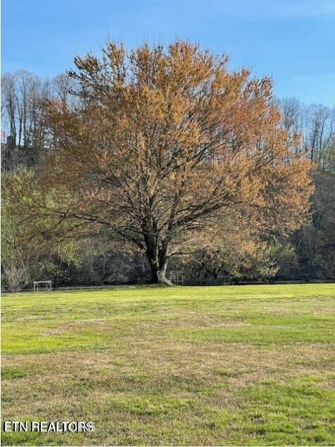 0 Holston Shores Dr, Rutledge, TN 37861