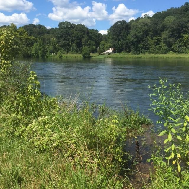0 Holston Shores, Rutledge, TN 37861