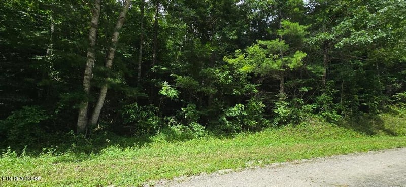 0 Honey Creek Loop Rd, Robbins, TN 37852