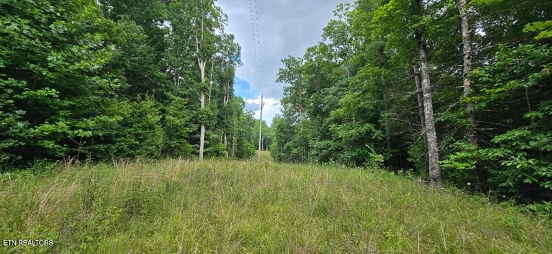 0 Honey Creek Loop Rd, Robbins, TN 37852