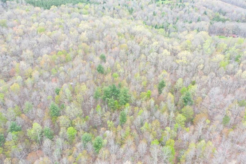0 Honey Creek Rd, Allardt, TN 38504