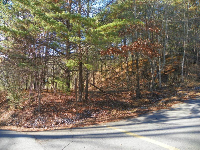 0 Honeysuckle Ln, Sevierville, TN 37876
