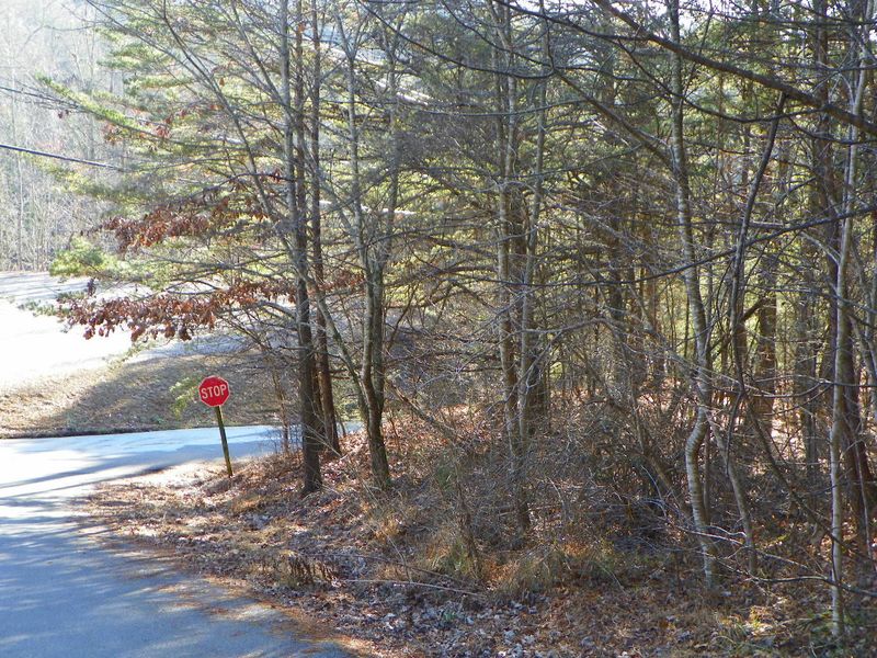 0 Honeysuckle Ln, Sevierville, TN 37876