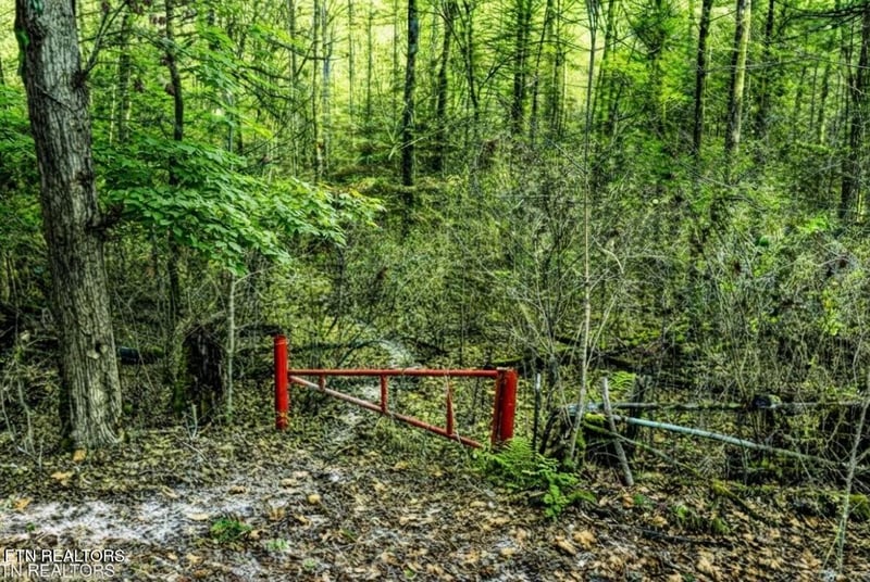 0 Hoskins Gap Rd, Oliver Springs, TN 37840
