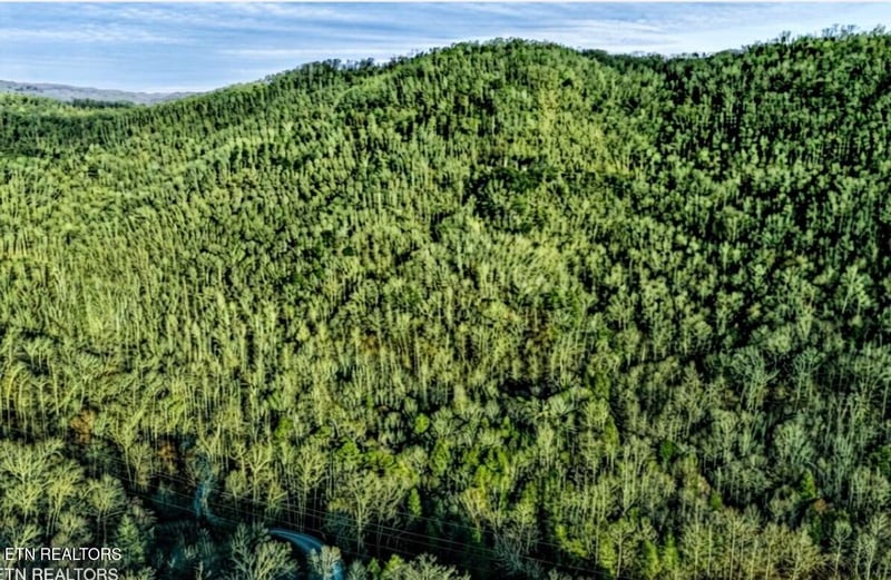 0 Hoskins Gap Rd, Oliver Springs, TN 37840
