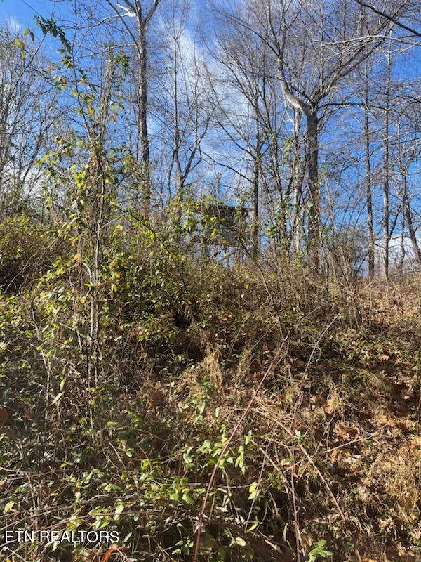 0 Howard Baker Hwy, Pioneer, TN 37847